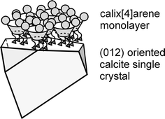 Graphical abstract: Crystallization of (012) oriented calcite single crystals underneath monolayers of tetra(carboxymethoxy)calix[4]arenes