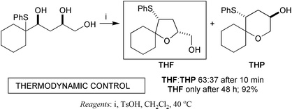 Graphical abstract: Asymmetric synthesis of tetrahydrofurans by competitive [1,2]-phenylsulfanyl (PhS) migrations under thermodynamic control