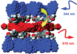 Graphical abstract: Energy transfer in multichromophoric self-assembled molecular squares