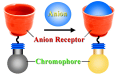 Graphical abstract: Chromogenic anion sensors