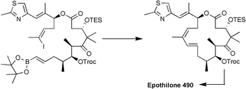 Graphical abstract: Application of hitherto unexplored macrocyclization strategies in the epothilone series: novel epothilone analogs by total synthesis