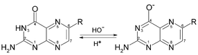 Graphical abstract: Singlet oxygen (1Δg) production by pterin derivatives in aqueous solutions