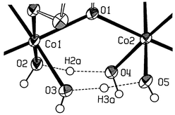 Graphical abstract: H3O2−, O22− and O2˙− bridging ligands in cobalt(iii) complexes of an acyclic phenolate-hinged dinucleating ligand