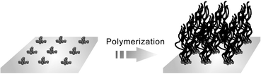 Graphical abstract: Polymer brushes via surface-initiated polymerizations