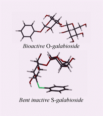 Graphical abstract: Conformational studies on phenyl thioglycosides: a remote effect on disaccharide linkage by phenyl aglycons attenuates recognition of galabiosides by a bacterial adhesin