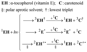 Graphical abstract: Photochemical and photophysical behaviour of vitamin E: interaction of its long-lived transient photoproducts with carotenoids