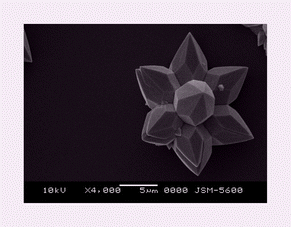 Graphical abstract: Indium nitride crystals with flower-like structure