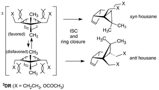 Graphical abstract: Enhanced formation of inverted housane through steric effects by rotationally unsymmetric bridgehead substituents in the ring closure of triplet cyclopentane-1,3-diyl diradicals, generated photolytically from 2,3-diazabicyclo[2.2.1]heptene(DBH)-type azoalkanes