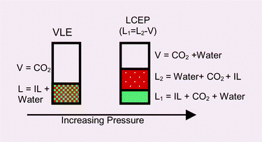Graphical abstract: Carbon dioxide induced separation of ionic liquids and water