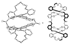Graphical abstract: The architecture of dinuclear Ni and Cu complexes: twisted and parallel forms controlled by the self-assembly of Schiff base ligands