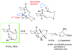 Graphical abstract: The use of enantiomerically pure ketene dithioacetal bis(sulfoxides) in highly diastereoselective intramolecular nitrone cycloadditions. Application in the total synthesis of the β-amino acid (−)-cispentacin and the first asymmetric synthesis of cis-(3R,4R)-4-amino-pyrrolidine-3-carboxylic acid
