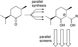 Graphical abstract: Novel isomenthone-derived 1,3-diol ligands identified through parallel synthesis and screening catalyse an asymmetric aldol reaction