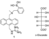 Graphical abstract: The first fluorescent sensor for d-glucarate based on the cooperative action of boronic acid and guanidinium groups