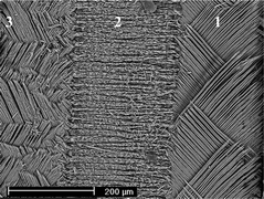 Graphical abstract: Microstructure of natural plywood-like ceramics: a study by high-resolution electron microscopy and energy-variable X-ray diffraction