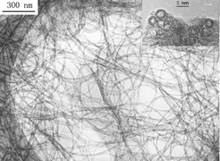 Graphical abstract: Preparation of highly pure double-walled carbon nanotubes