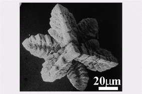Graphical abstract: Well-defined star-shaped calcite crystals formed in agarose gels