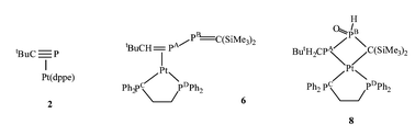Graphical abstract: Synthesis of a η2-2,3-diphosphabutadiene complex of zerovalent platinum from the corresponding η2-phosphaalkyne complex