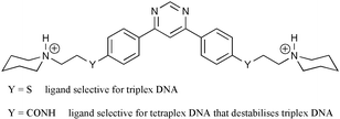 Graphical abstract: Biarylpyrimidines: a new class of ligand for high-order DNA recognition