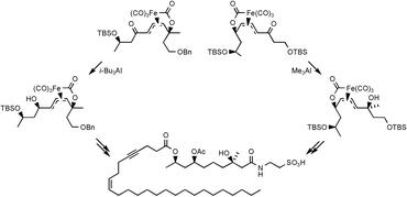 Graphical abstract: Use of π-allyltricarbonyliron lactone complexes in the synthesis of taurospongin A: a potent inhibitor of DNA polymerase β and HIV reverse transcriptase