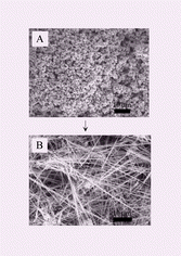 Graphical abstract: Rapid, high yield, solution-mediated transformation of polycrystalline selenium powder into single-crystal nanowires