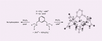 Graphical abstract: Regioselective hydroxylation of the xylyl linker in a diiron(iii) complex having a carboxylate-rich ligand with H2O2