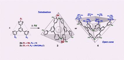 Graphical abstract: Side chain-directed assembly of triangular molecular panels into a tetrahedron vs. open cone