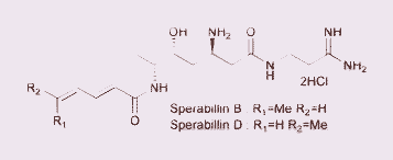 Graphical abstract: Total asymmetric synthesis of sperabillins B and D