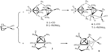 Graphical abstract: Synthesis and structural characterization of novel palladium complexes chelated by bulky cobalt-containing phosphine ligands: unusual palladium–cobalt bond formation