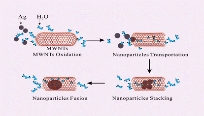 Graphical abstract: Transportation of silver nanopaticles in nanochannels of carbon nanotubes with supercritical water
