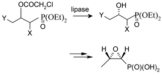 Graphical abstract: Enzymatic synthesis of phosphocarnitine, phosphogabob and fosfomycin