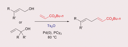 Graphical abstract: Palladium-catalyzed allylic alkenylation of allylic alcohols with n-butyl acrylate