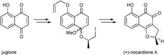 Graphical abstract: Synthesis of (+)-nocardione A — use of formal radical cyclization onto a benzene ring