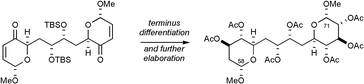 Graphical abstract: A two-directional synthesis of the C58–C71 fragment of palytoxin