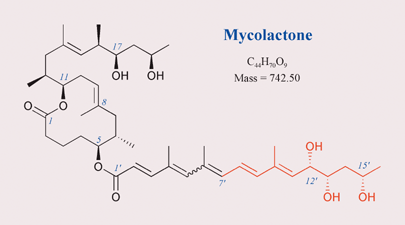 Graphical abstract: Identification using LC-MSn of co-metabolites in the biosynthesis of the polyketide toxin mycolactone by a clinical isolate of Mycobacterium ulcerans