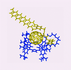 Graphical abstract: A supramolecular cup-and-ball C60–porphyrin conjugate system