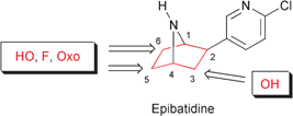 Graphical abstract: Functionalization of the alicyclic skeleton of epibatidine: synthesis and nicotinic acetylcholine receptor binding affinities of epibatidine analogues