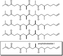 Graphical abstract: Stereochemical elucidation of the 1,4 polyketide amphidinoketide I