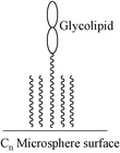 Graphical abstract: Cn microspheres as surrogate membranes in glycosidase-catalysed hydrolysis of glycolipids
