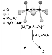 Graphical abstract: A novel polyoxo(thio)molybdenum(V) sulfite compound: Synthesis and crystal structure of {[Mo2V(μ-S)2O2]6(μ3-SO3)4(μ-SO3)12}20− anion