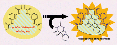 Graphical abstract: Multiple hydrogen bonding-based fluorescent imprinted polymers for cyclobarbital prepared with 2,6-bis(acrylamido)pyridine