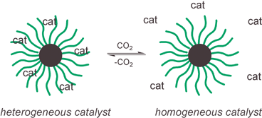 Graphical abstract: Use and recovery of a homogeneous catalyst with carbon dioxide as a solubility switch