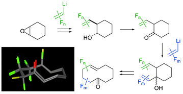 Graphical abstract: Syntheses of selectively fluorinated cyclodecenones: the first deployment of the neutral oxy-Cope rearrangement in organofluorine chemistry