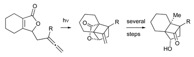 Graphical abstract: Synthesis of the cyclobutanone core of solanoeclepin A via intramolecular allene butenolide photocycloaddition