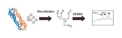 Graphical abstract: The first SERRS multiplexing from labelled oligonucleotides in a microfluidics lab-on-a-chip