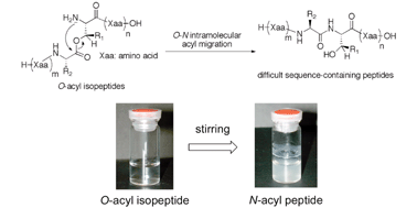 Graphical abstract: Novel and efficient synthesis of difficult sequence-containing peptides through O–N intramolecular acyl migration reaction of O-acyl isopeptides