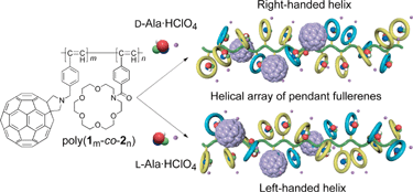 Graphical abstract: A helical array of pendant fullerenes on a helical poly(phenylacetylene) induced by non-covalent chiral interactions