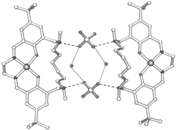 Graphical abstract: Zwitterionic macrocyclic metal sulfate extractants containing 3-dialkylaminomethylsalicylaldimine units