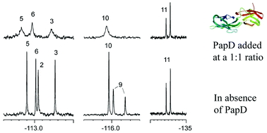 Graphical abstract: Use of 19F NMR spectroscopy to screen chemical libraries for ligands that bind to proteins