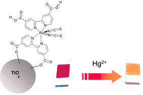 Graphical abstract: Heterogeneous colorimetric sensor for mercuric salts