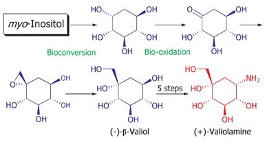 Graphical abstract: Convenient synthesis of (+)-valiolamine and (−)-1-epi-valiolamine from (−)-vibo-quercitol